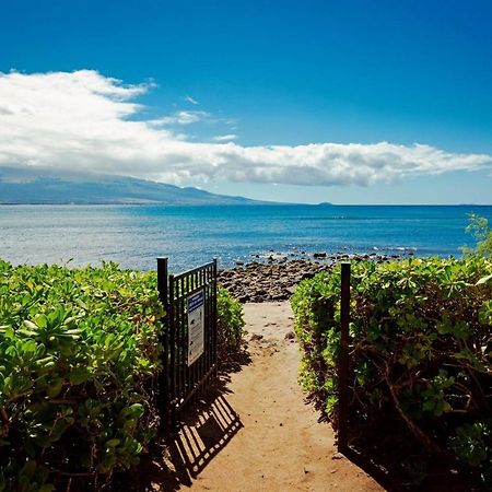 Stunning Maui Direct Ocean Front On The Beach, Walk To Beach From Condo, Watch Turtles, Whales, Ac In All Rooms Ocean View Pool And Spa Wailuku Esterno foto