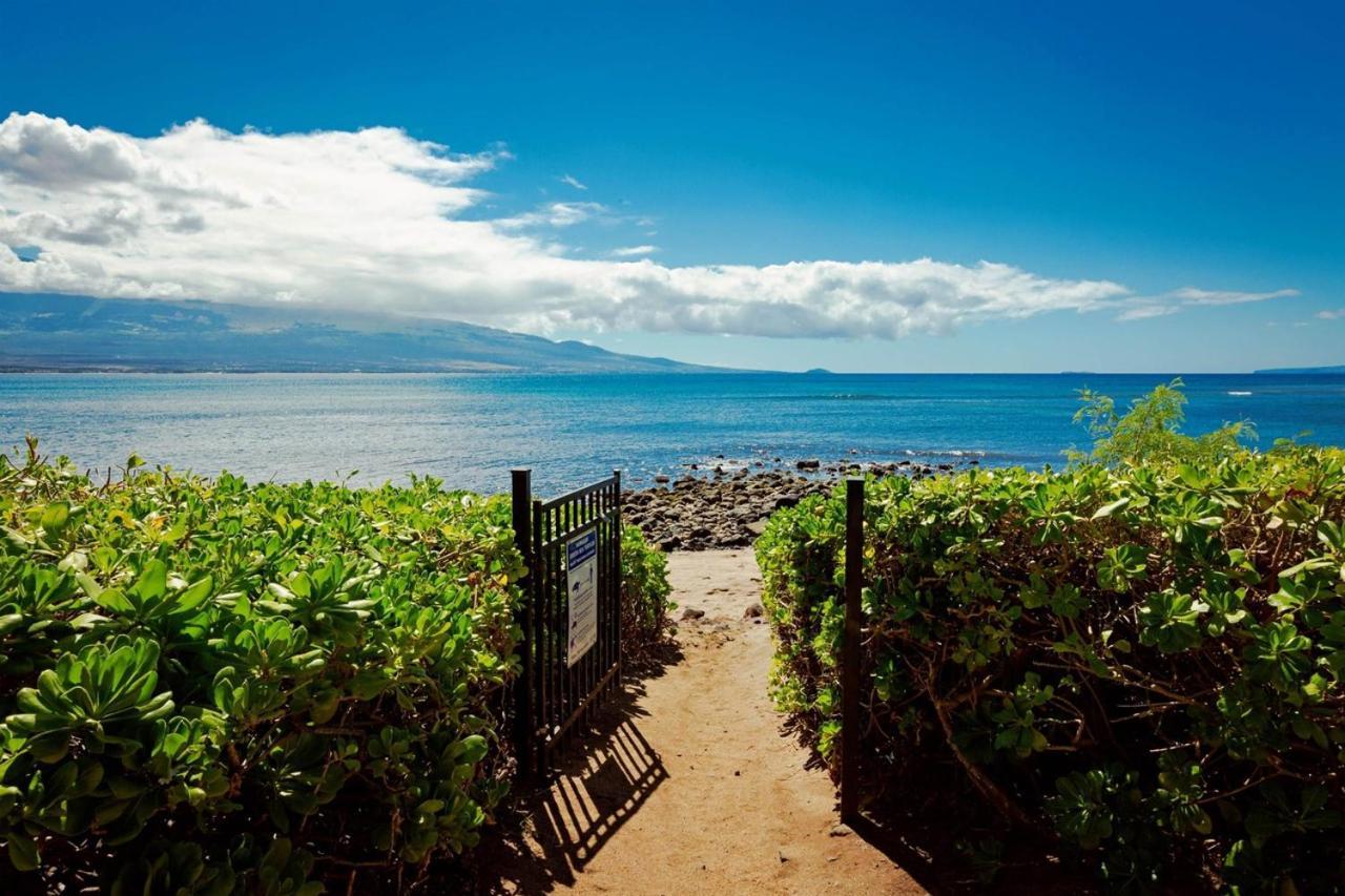Stunning Maui Direct Ocean Front On The Beach, Walk To Beach From Condo, Watch Turtles, Whales, Ac In All Rooms Ocean View Pool And Spa Wailuku Esterno foto